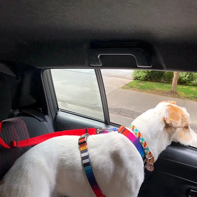 Click & Go Adjustable Dog Car Tether