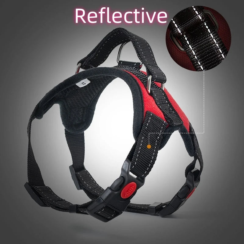 Pattern Play Adjustable Dog Harness