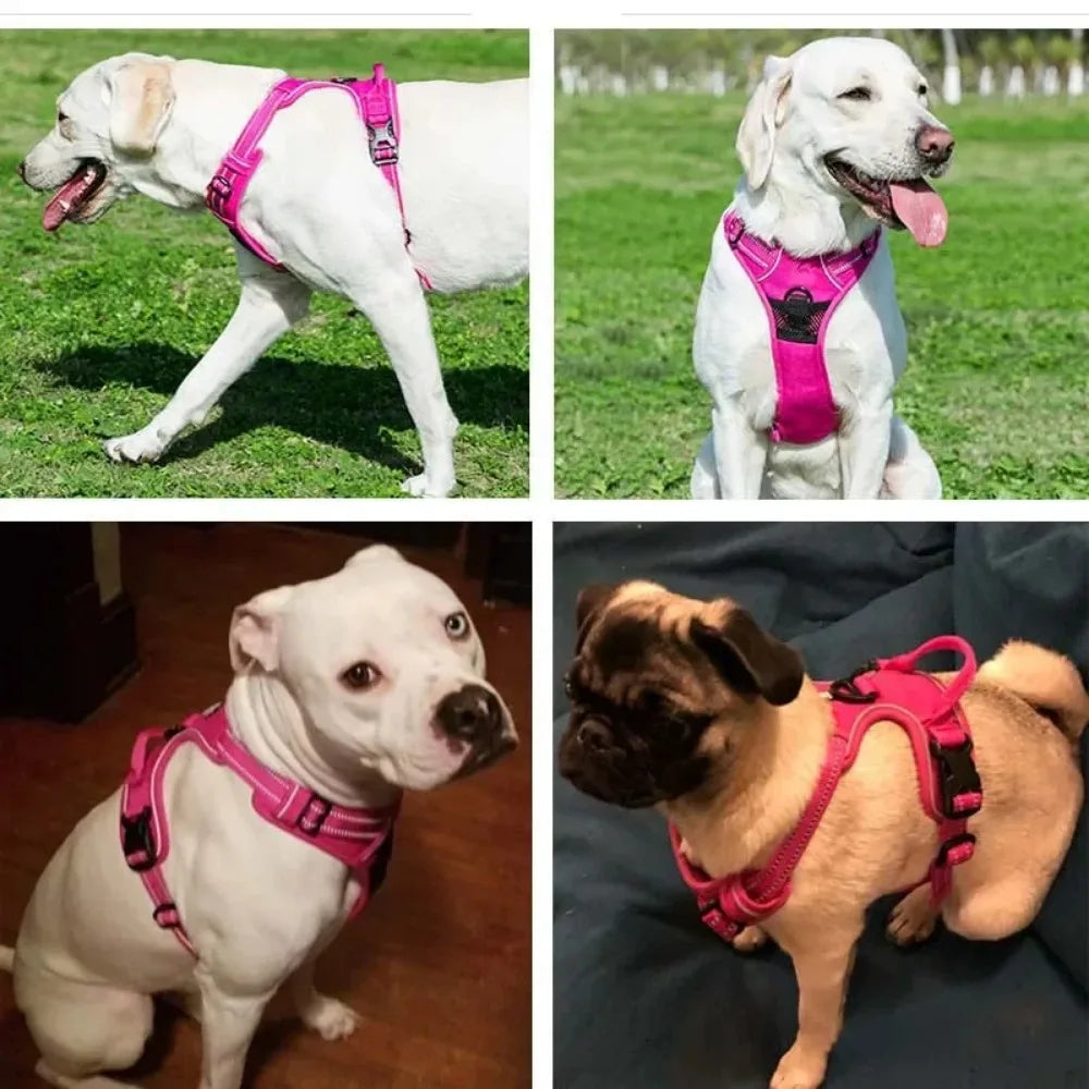 Bright Side Reflective Padded Dog Harness