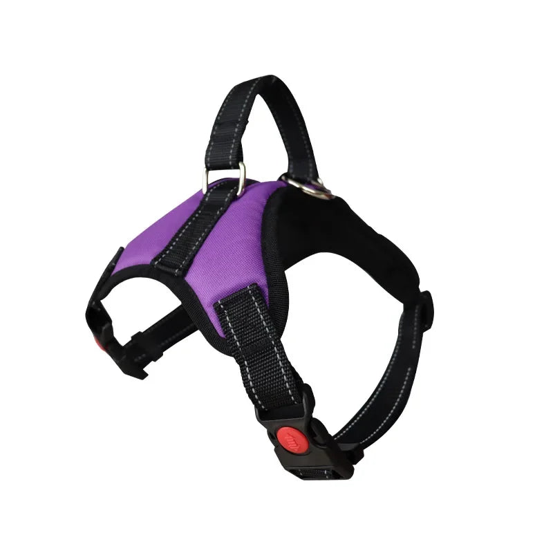 Pattern Play Adjustable Dog Harness