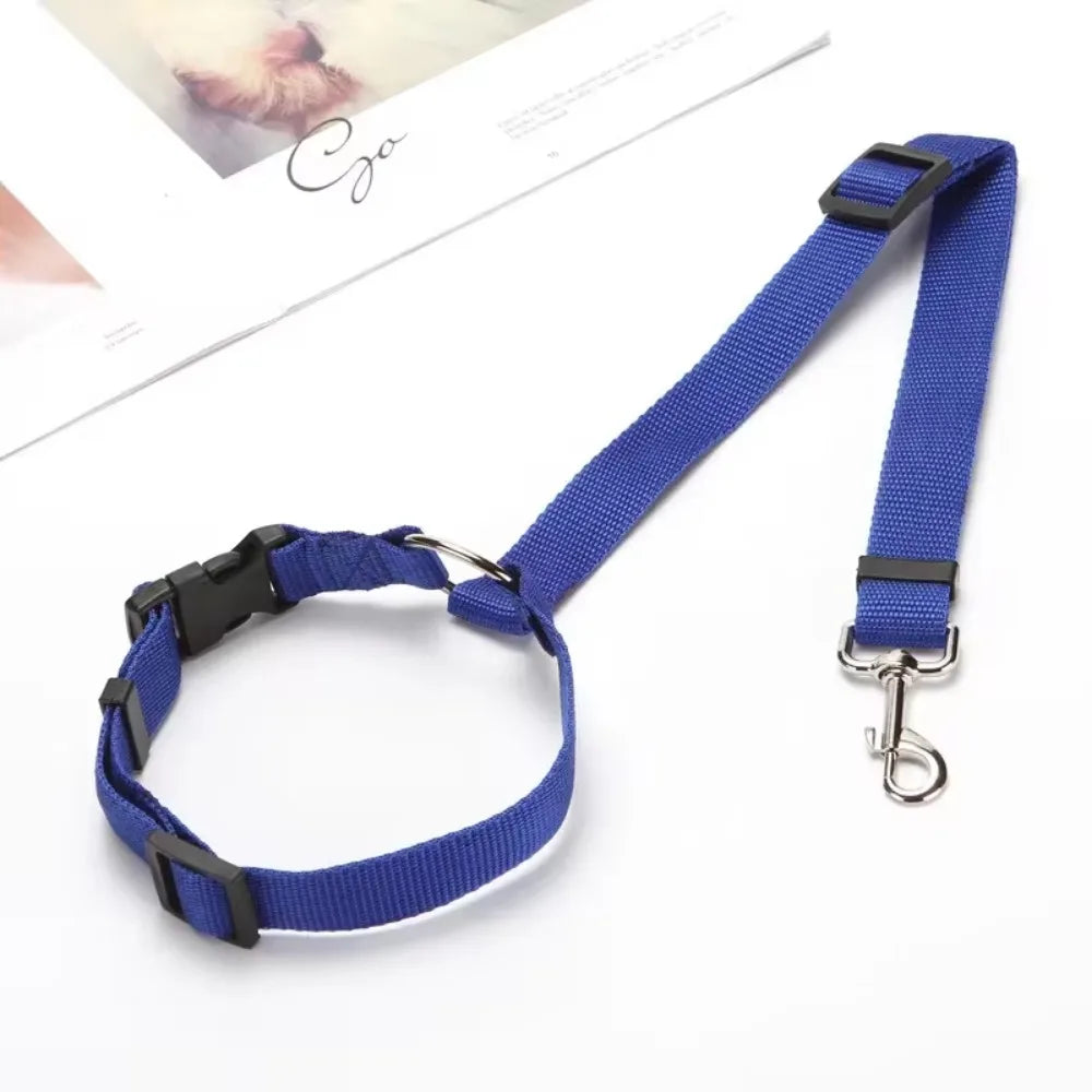 Click & Go Adjustable Dog Car Tether