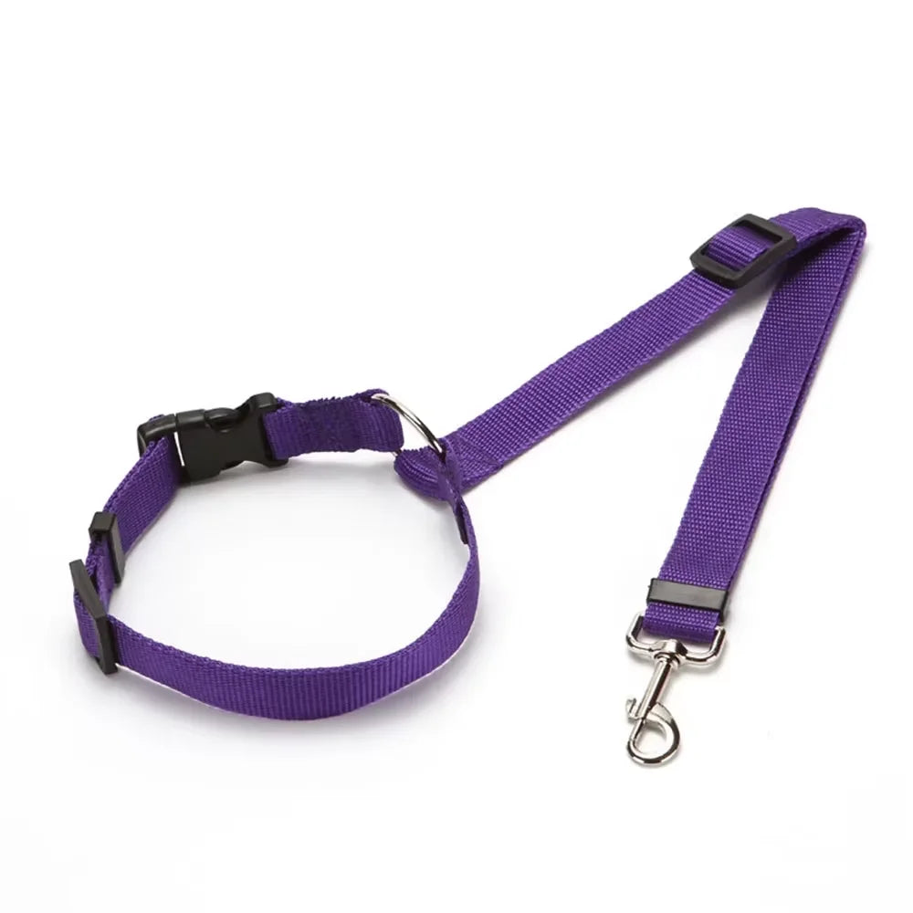 Click & Go Adjustable Dog Car Tether