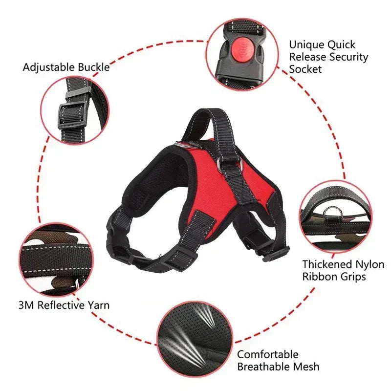 Pattern Play Adjustable Dog Harness