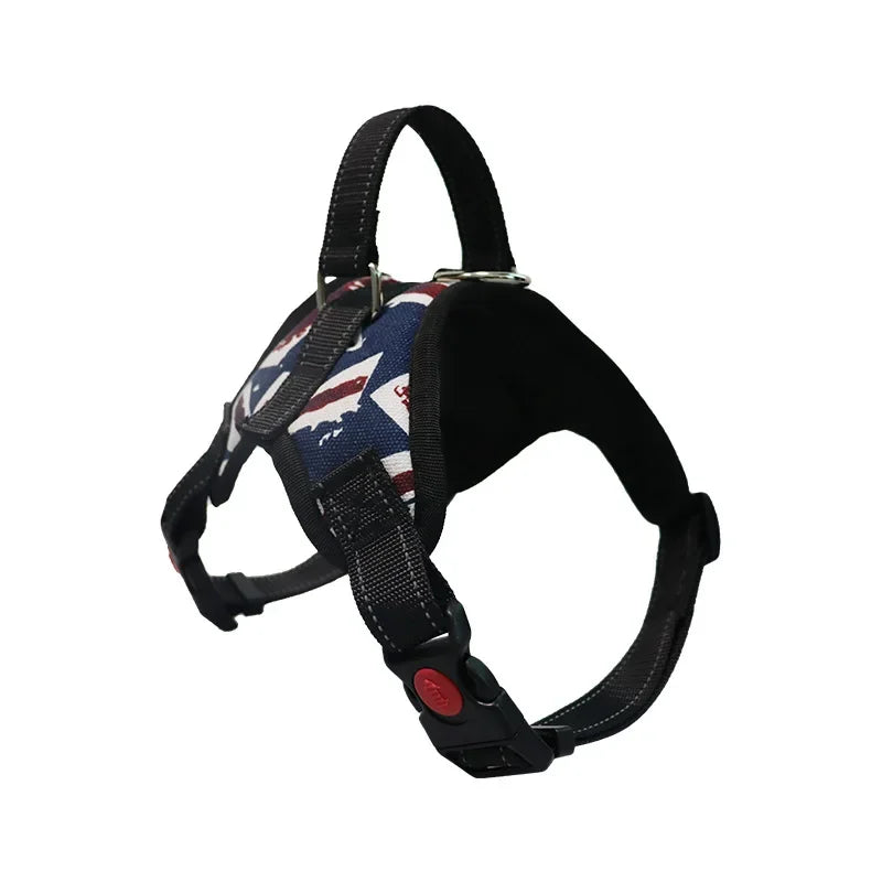 Pattern Play Adjustable Dog Harness