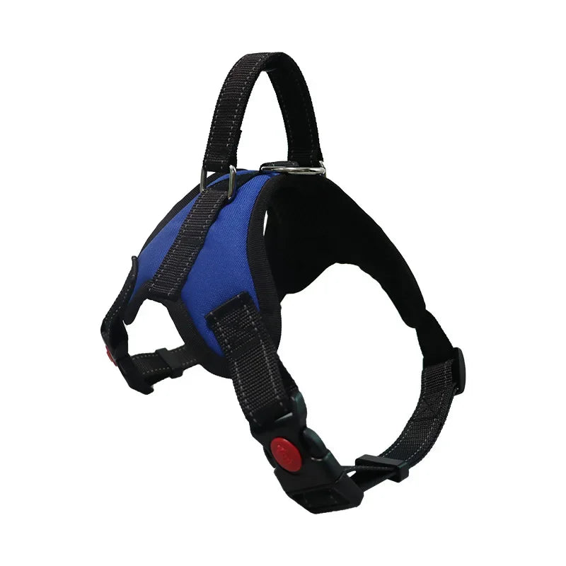 Pattern Play Adjustable Dog Harness