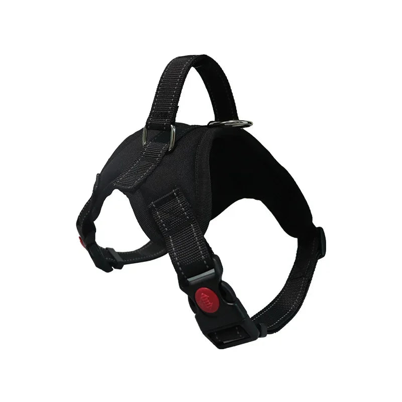 Pattern Play Adjustable Dog Harness