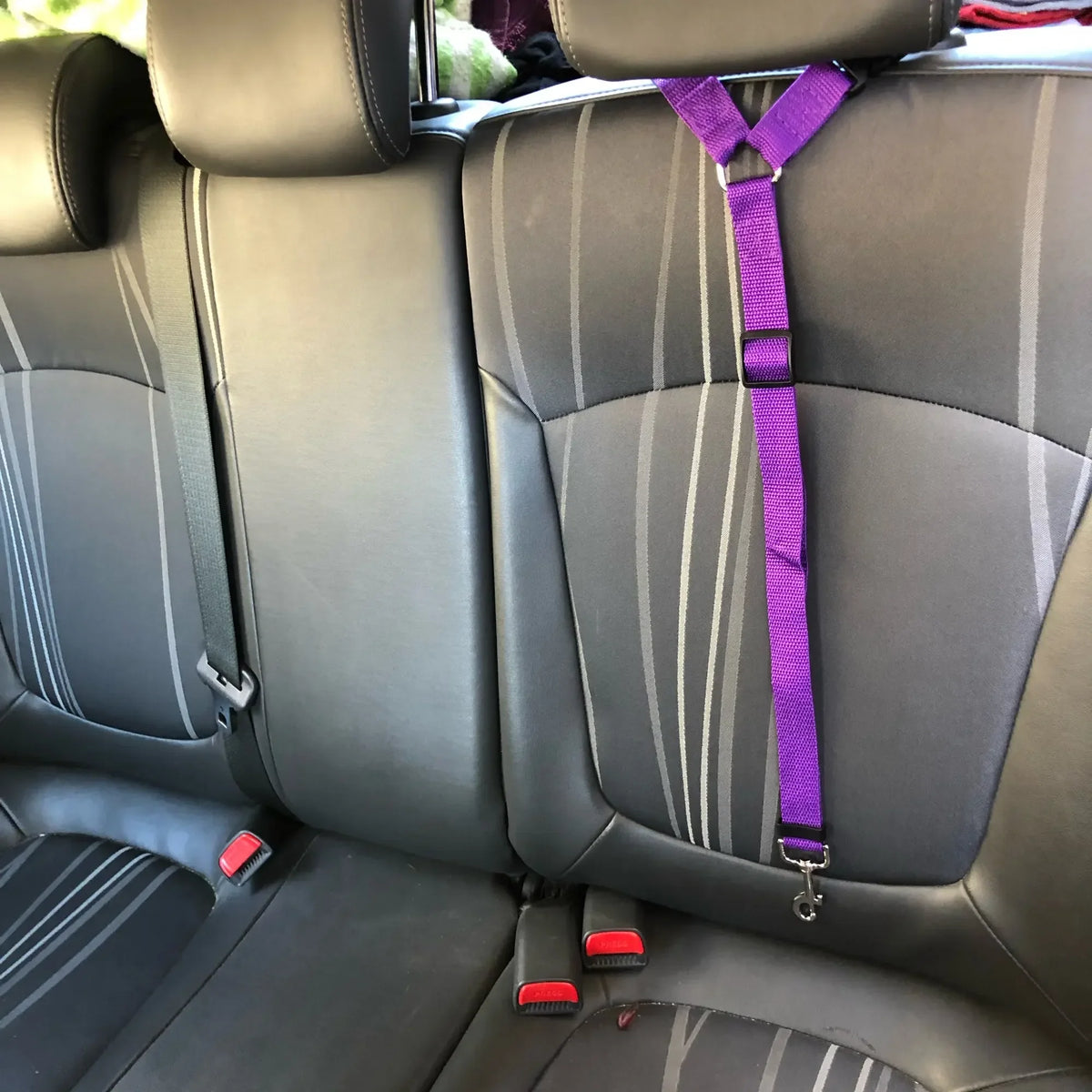 Click & Go Adjustable Dog Car Tether
