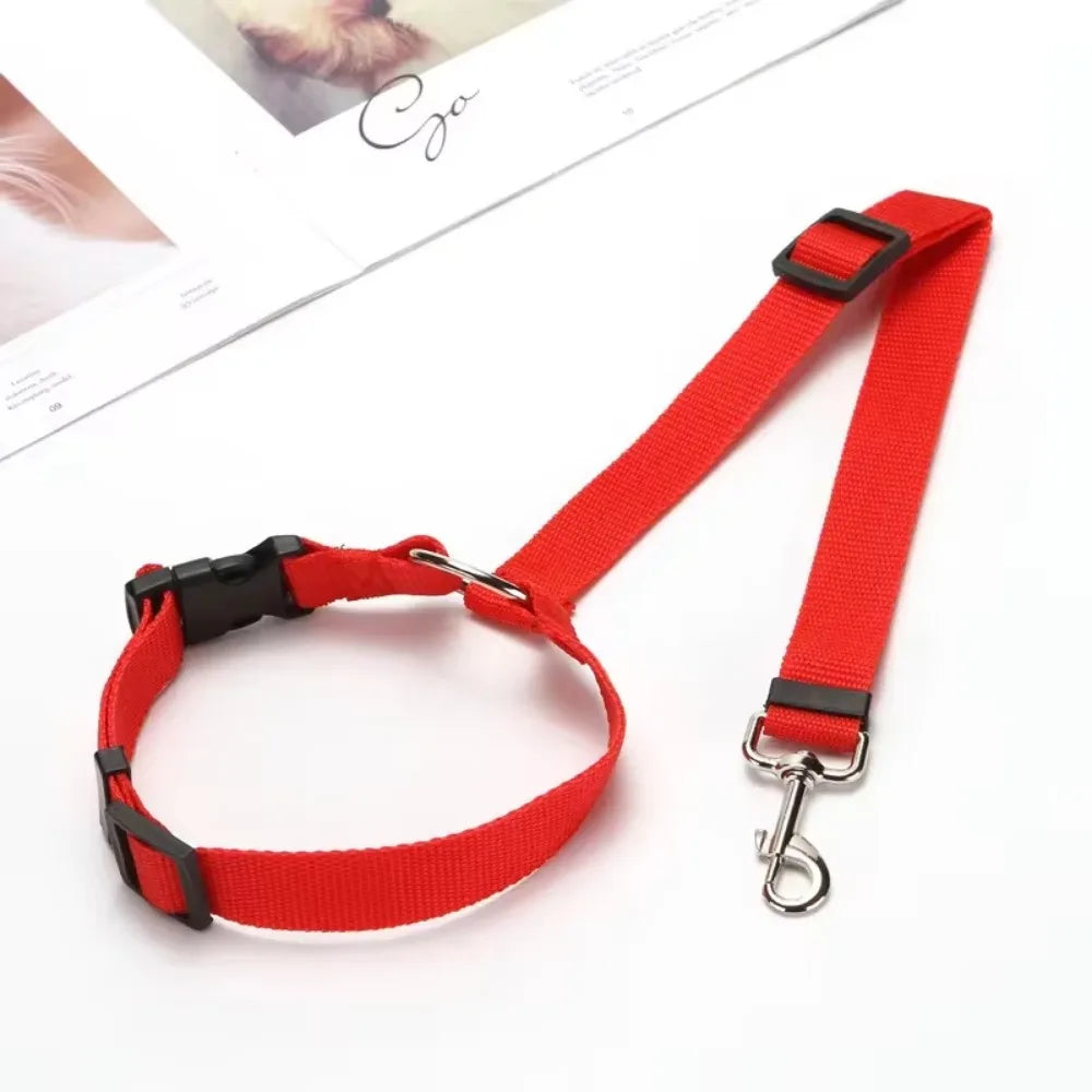 Click & Go Adjustable Dog Car Tether