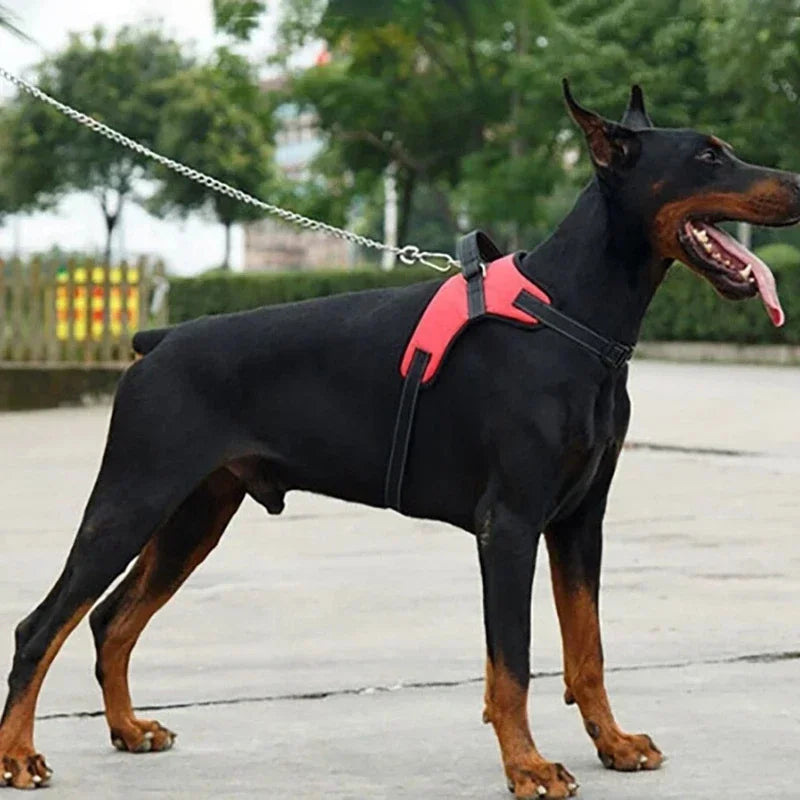 Pattern Play Adjustable Dog Harness