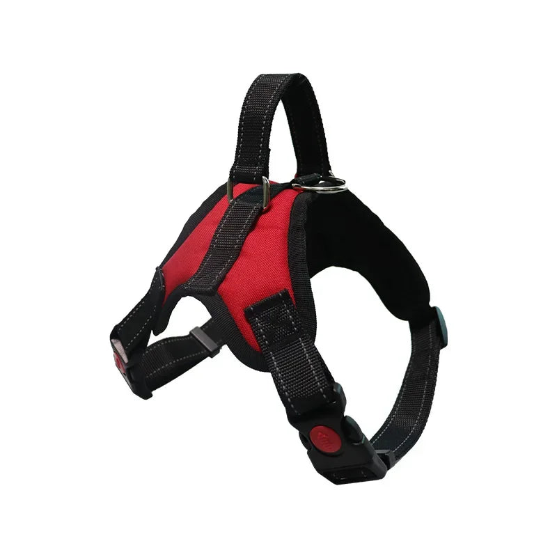 Pattern Play Adjustable Dog Harness