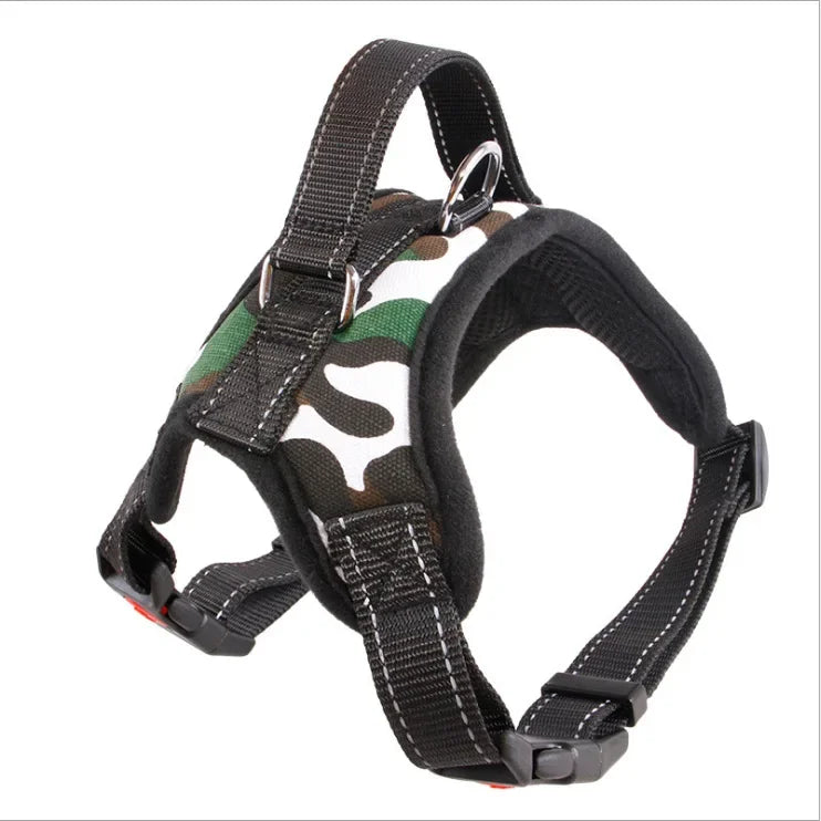 Pattern Play Adjustable Dog Harness