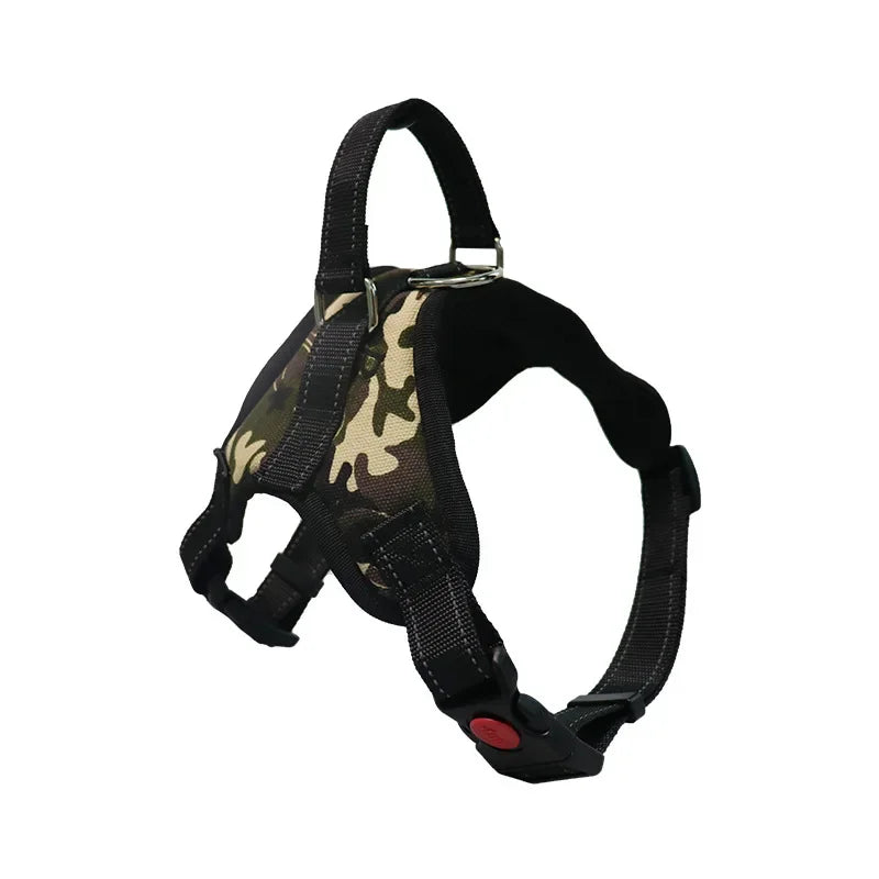 Pattern Play Adjustable Dog Harness