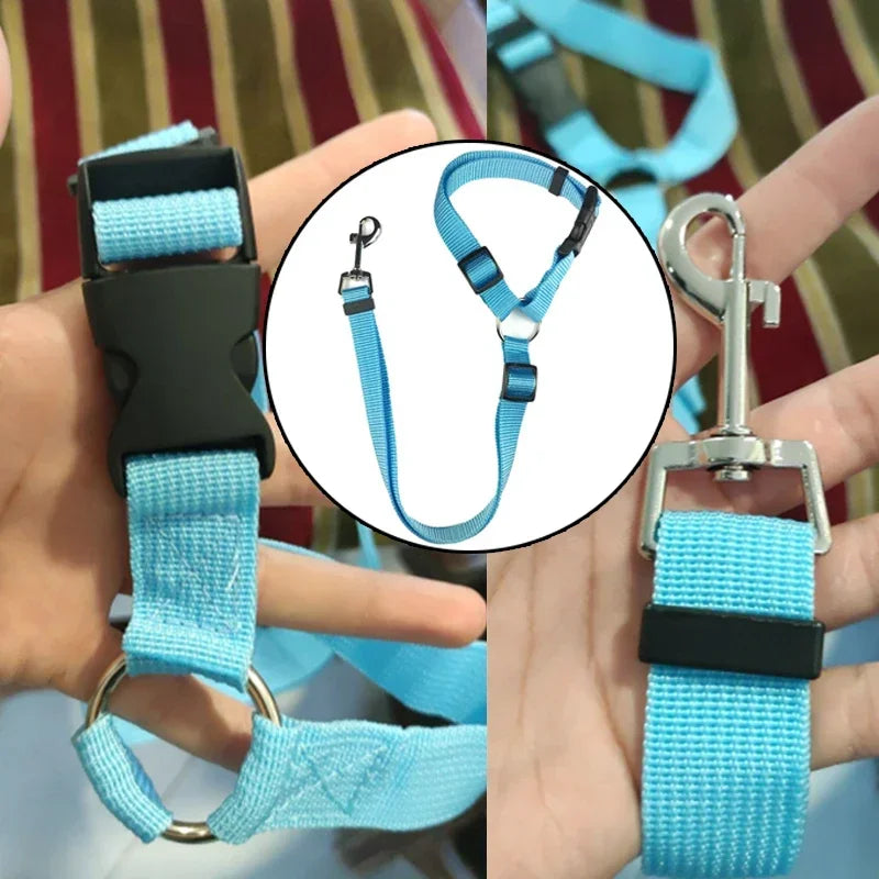 Click & Go Adjustable Dog Car Tether
