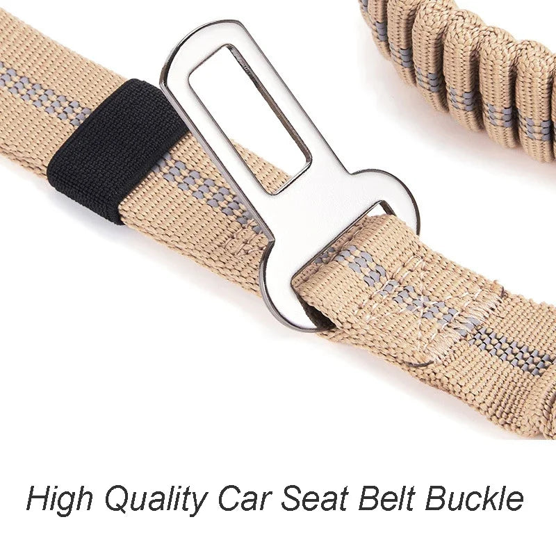 Bounce Back Reflective Bungee Dog Lead